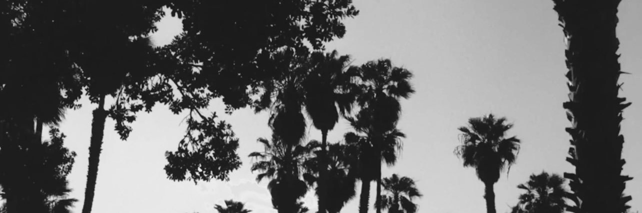 Lana Core's banner