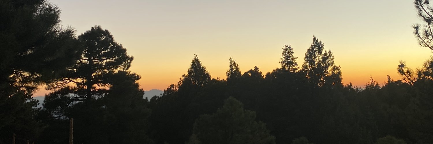 brookmcclendon's profile banner image