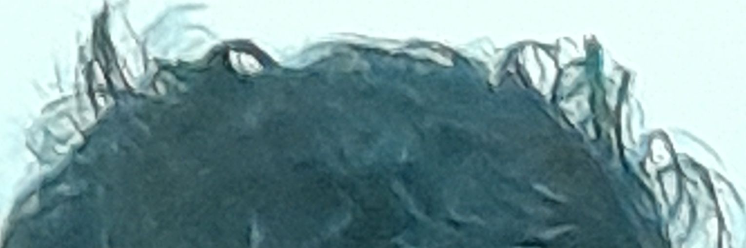 HarizQu banner