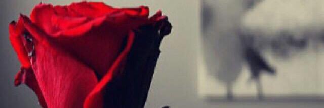 77Ttzz's profile banner image