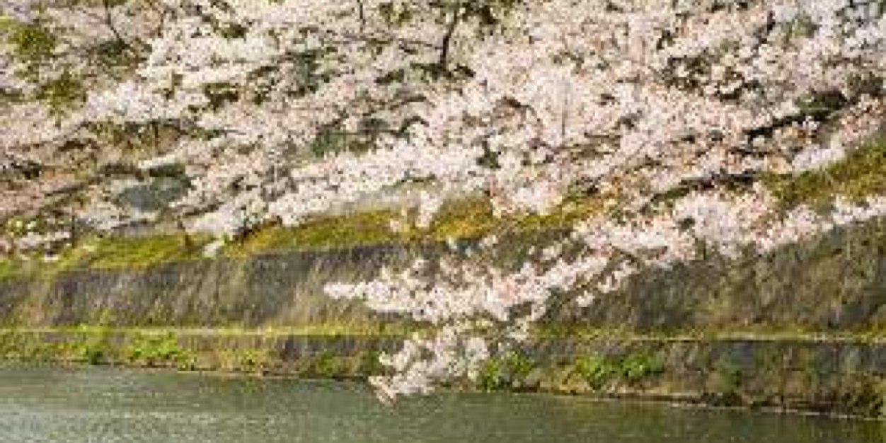 aki000n's profile banner image