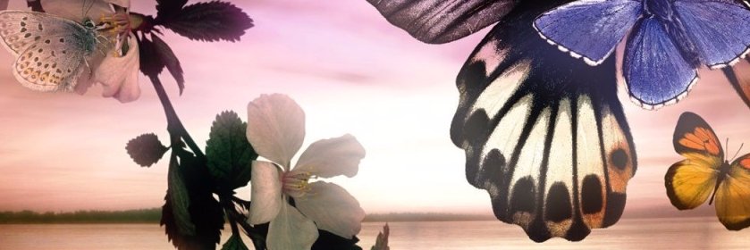 a__hat's profile banner image