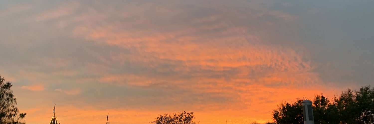 SebasChinn's profile banner image