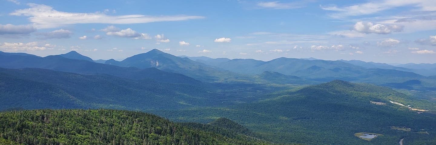 David Fiume banner