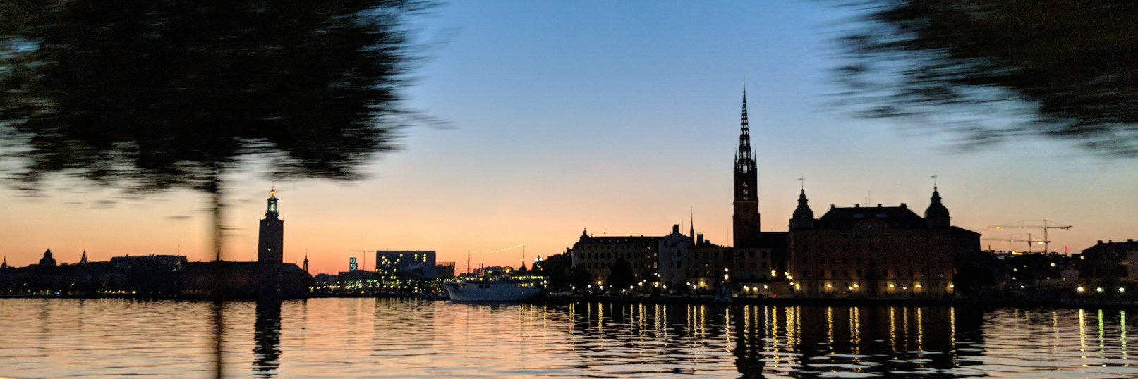 Maxime U Garcia | @gau@scholar.social banner