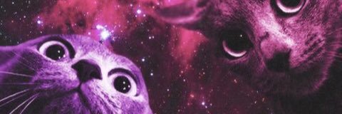 AbbiReed1's profile banner image