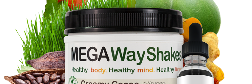 MEGAWayShakes's profile banner image