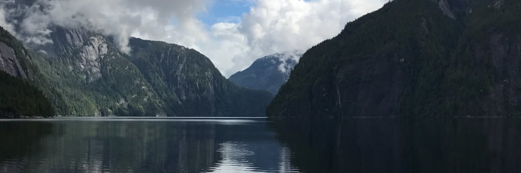 Billy Merritt banner