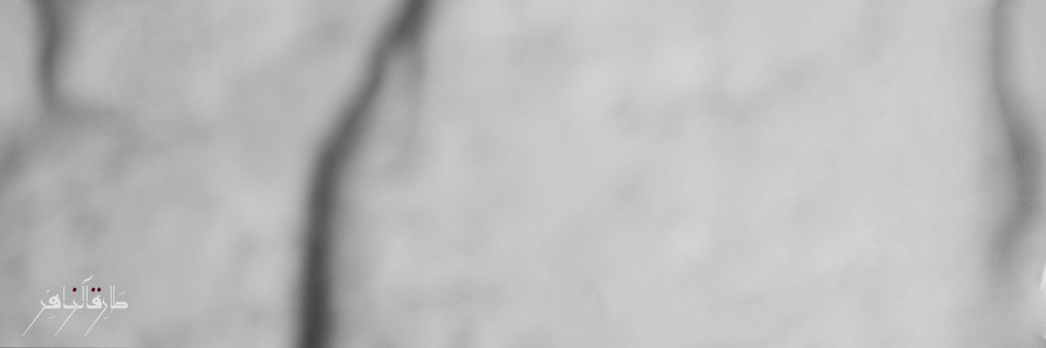TZSpica's profile banner image