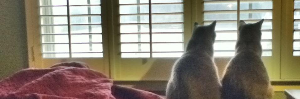 The Late Mickey ShortTail banner