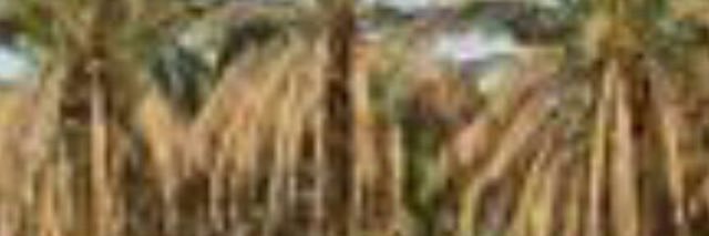 bin_farjallah's profile banner image