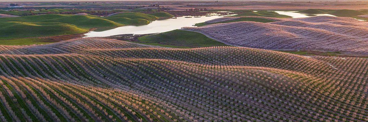 hilltop_ranch's profile banner image