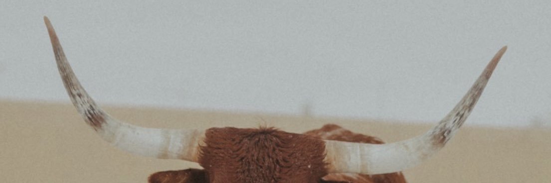xoblonde's profile banner image