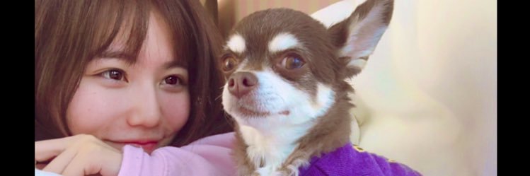 komitame0912's profile banner image