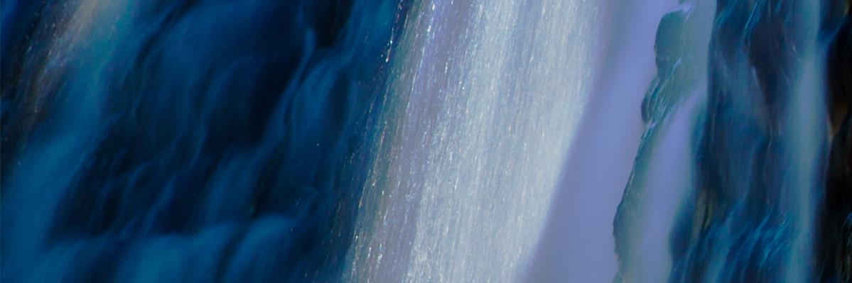 d bee ✝ 🇬🇧 🏴󠁧󠁢󠁥󠁮󠁧󠁿 🏴󠁧󠁢󠁷󠁬󠁳󠁿 banner