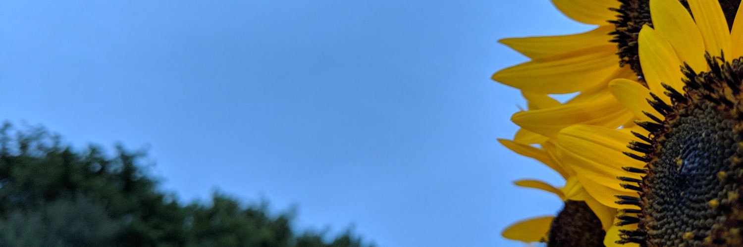 AllyTelfor's profile banner image
