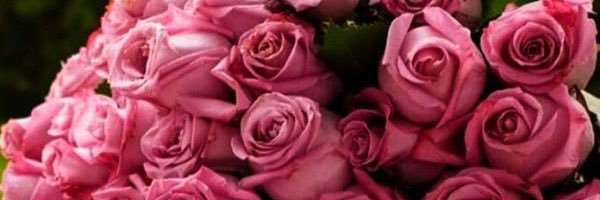 mesho01221's profile banner image