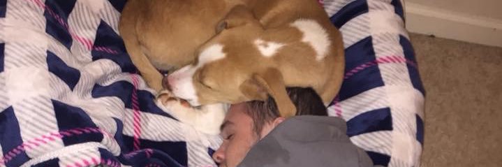 brycehaynes5's profile banner image
