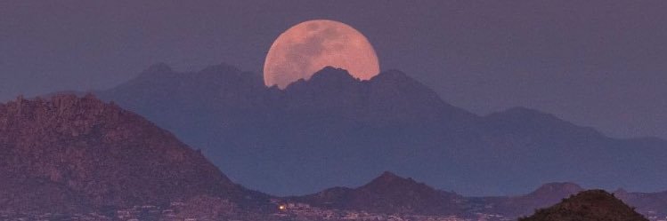 Olvbeanz's profile banner image