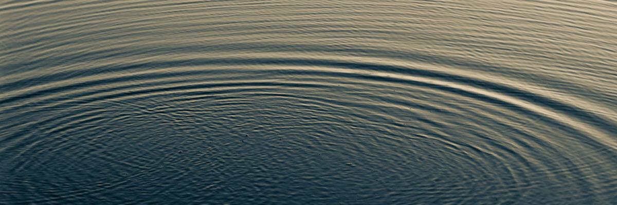 aroobii_'s profile banner image