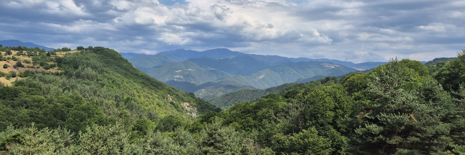 BulgarianEarper's profile banner image
