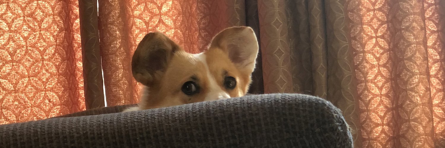 callmejakesmith's profile banner image