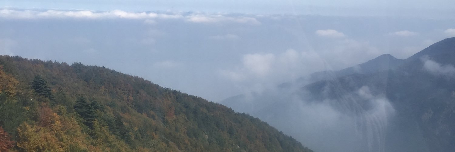91_bashayer's profile banner image