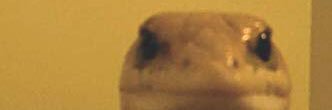 ao3squidaddle's profile banner image