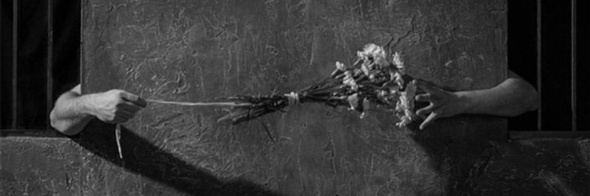 crzndemln's profile banner image