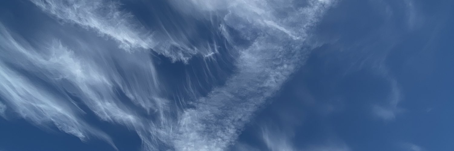 wickdwitch666's profile banner image