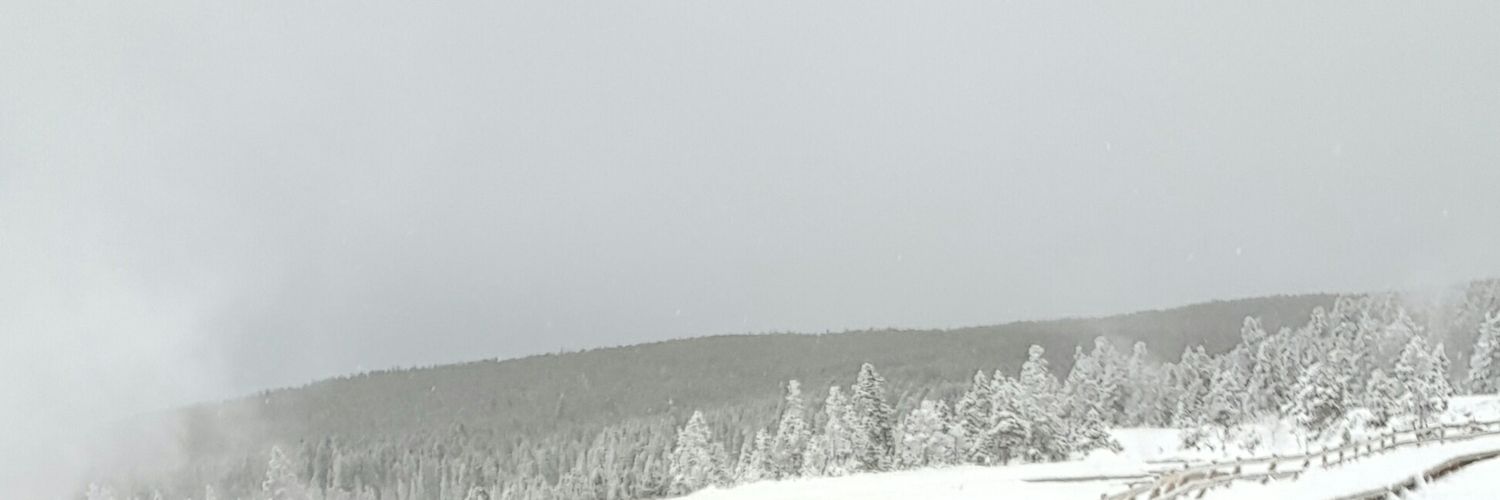 DLynDemaree's profile banner image
