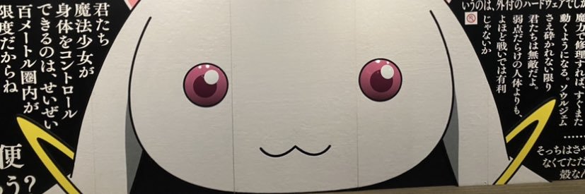 shoyqaaa's profile banner image