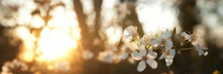 JoyceM__'s profile banner image