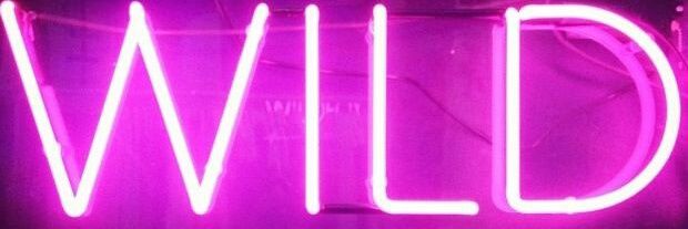 emilyxwells's profile banner image