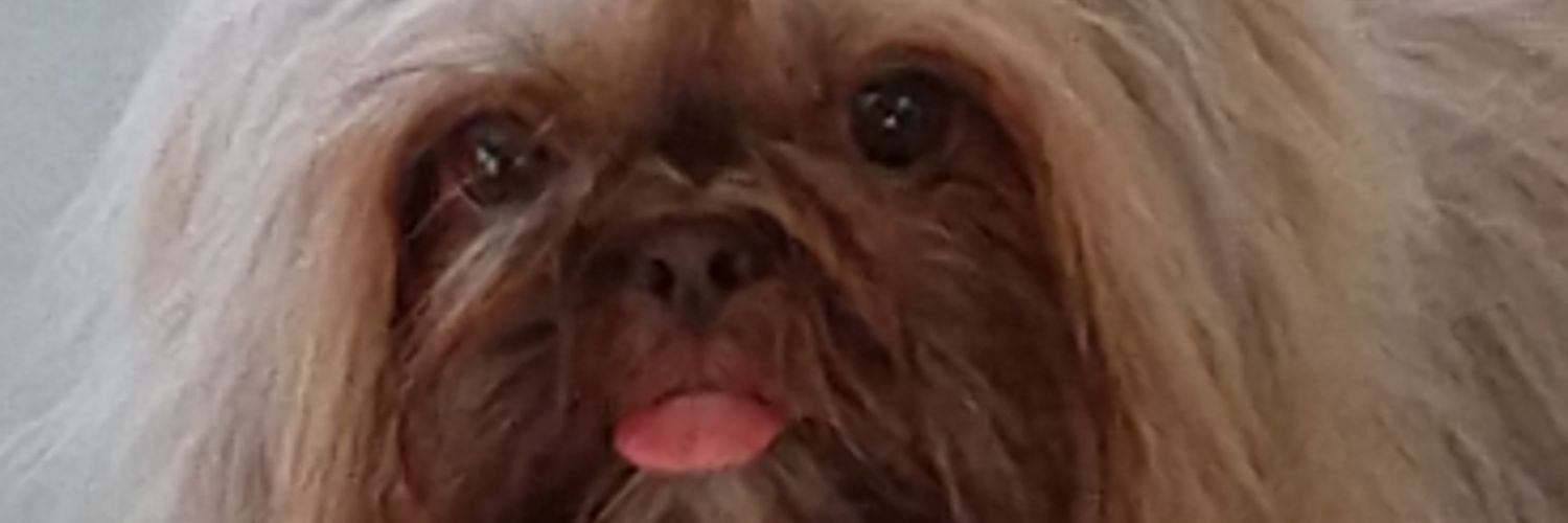 Pedroom00's profile banner image