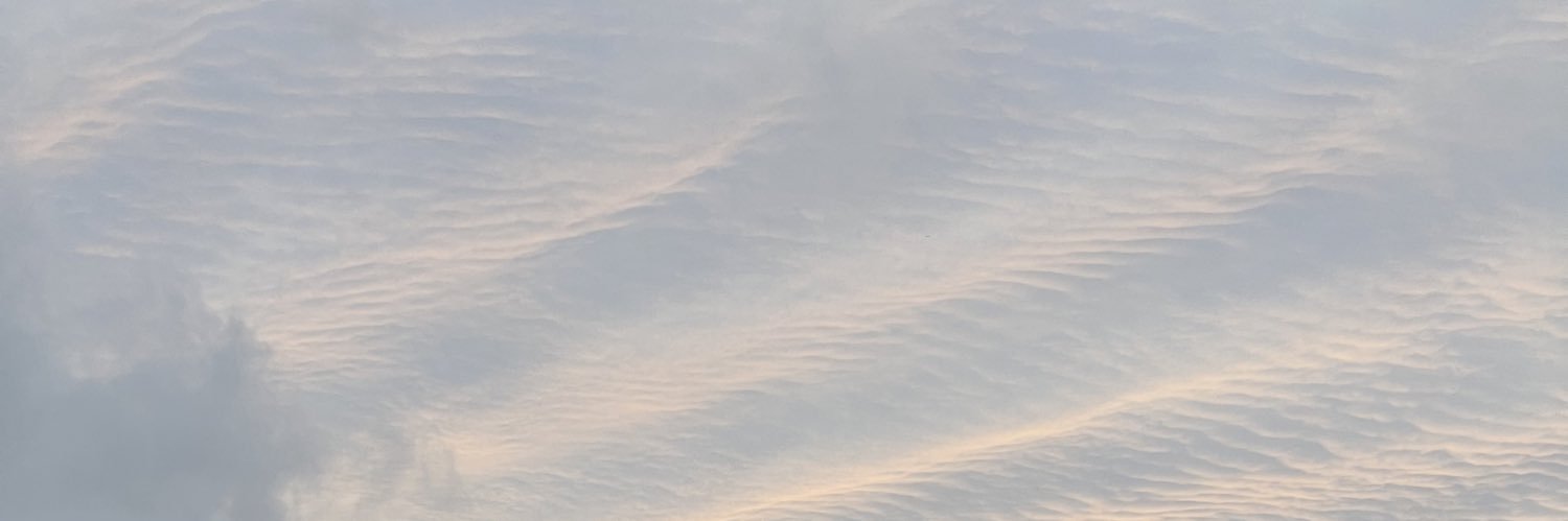alexus_noelle's profile banner image