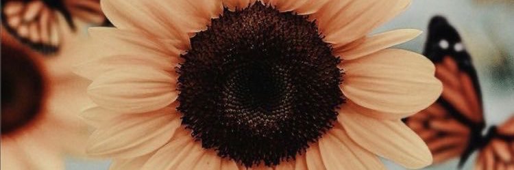ashgorges13's profile banner image
