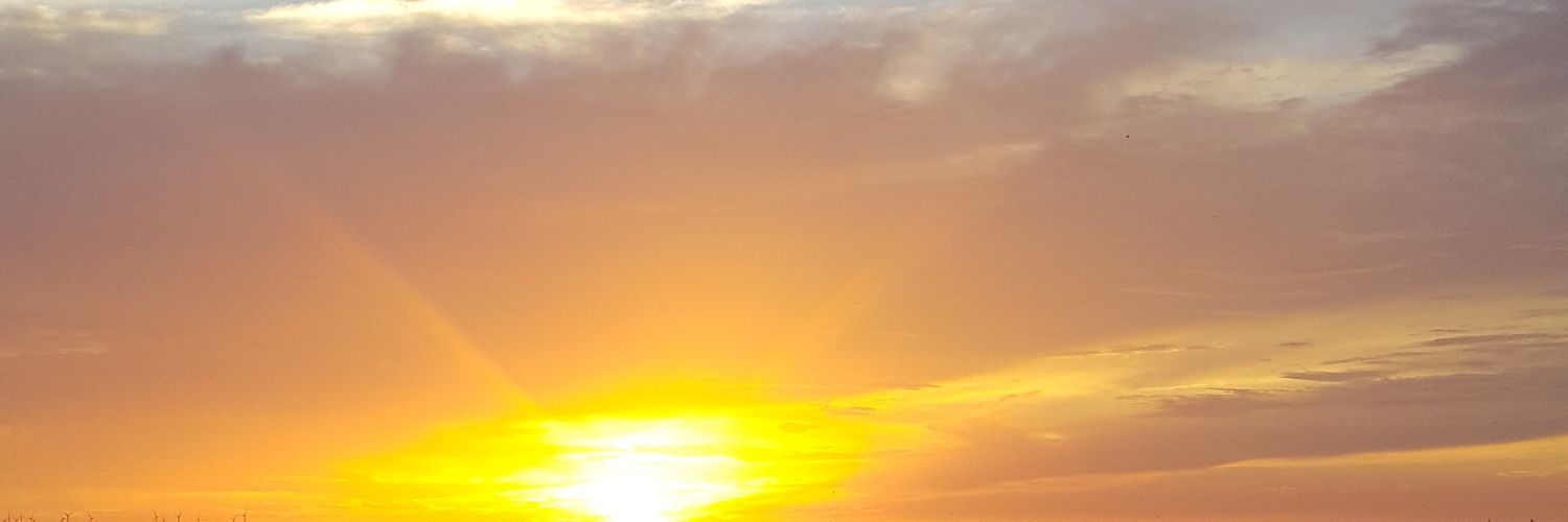 tonsandtons's profile banner image
