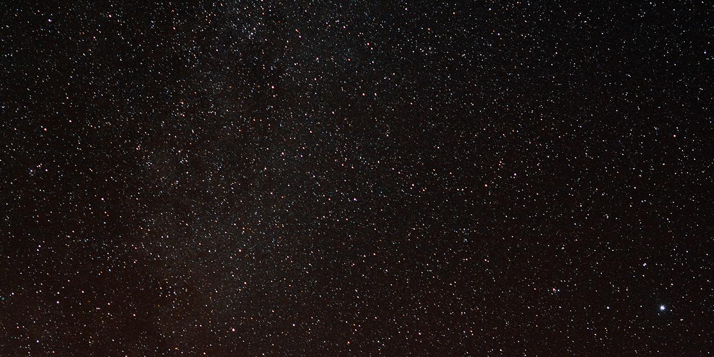 Ricky McElroy banner