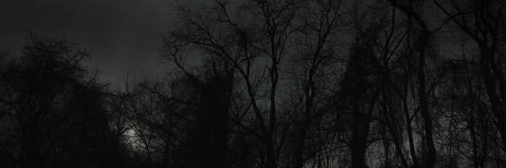 psvrnghoon's profile banner image