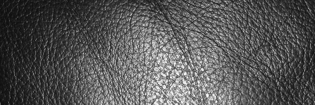 Daddy_Cole's profile banner image