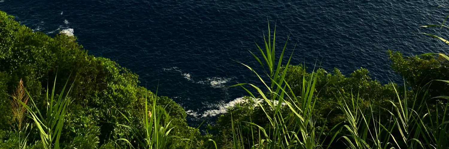 DiegoRha's profile banner image