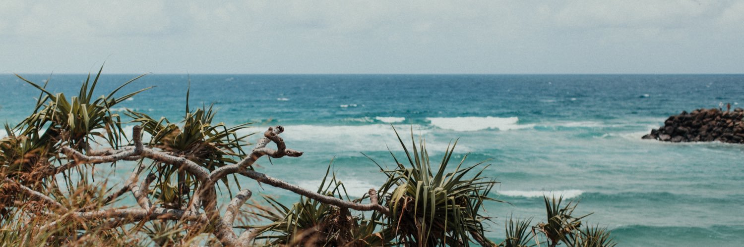 fiblaber's profile banner image