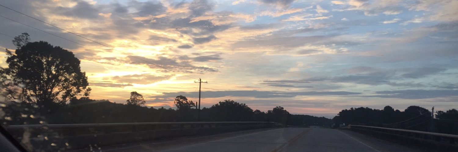 lisastigall2's profile banner image