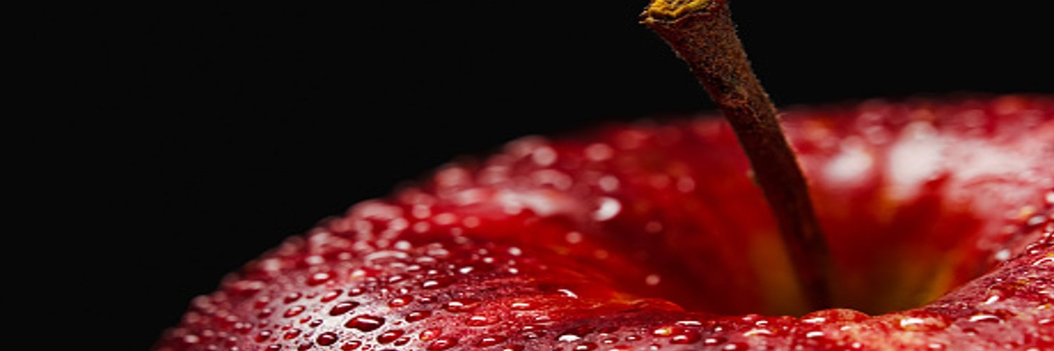0526_usa's profile banner image