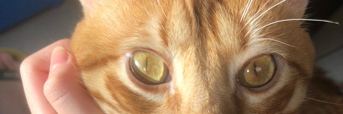 pabmende's profile banner image