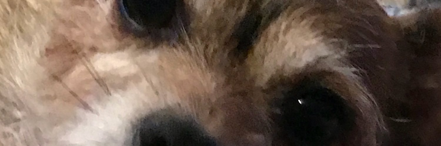 Mari_moon11's profile banner image