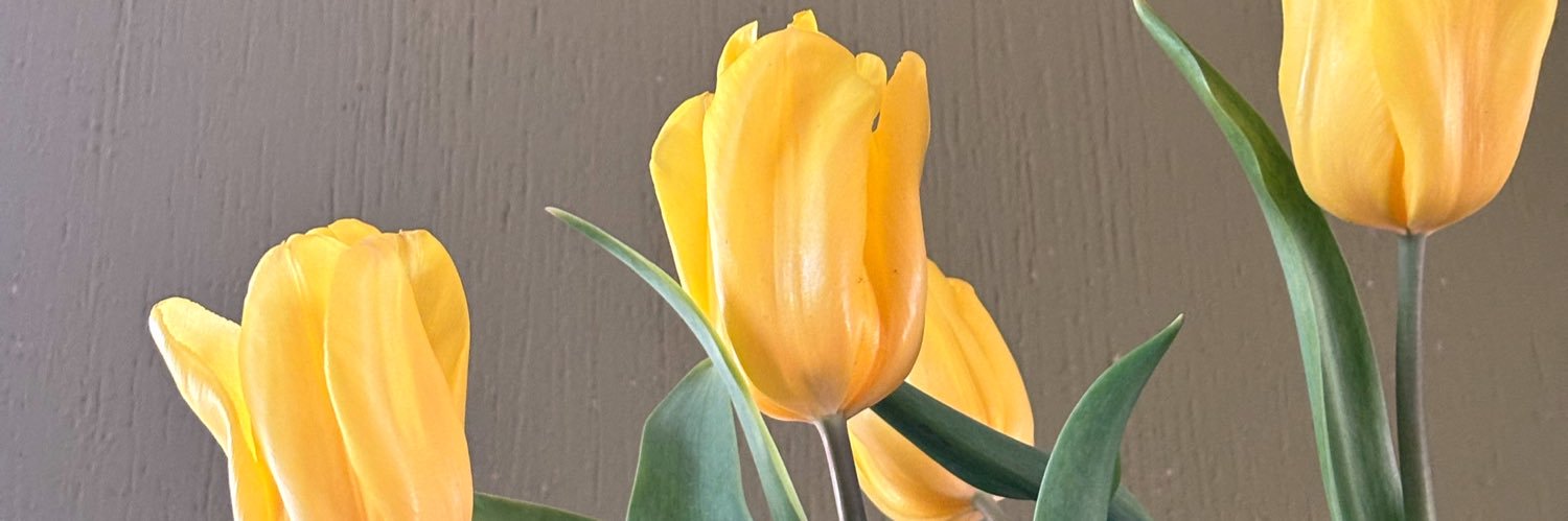 JackusEsc's profile banner image