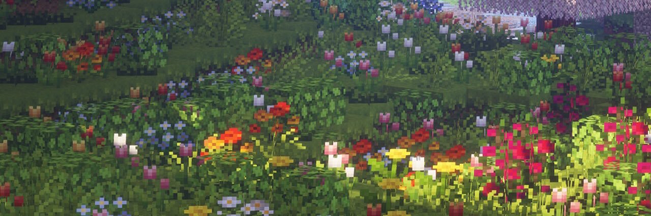 LittleStarlyte's profile banner image