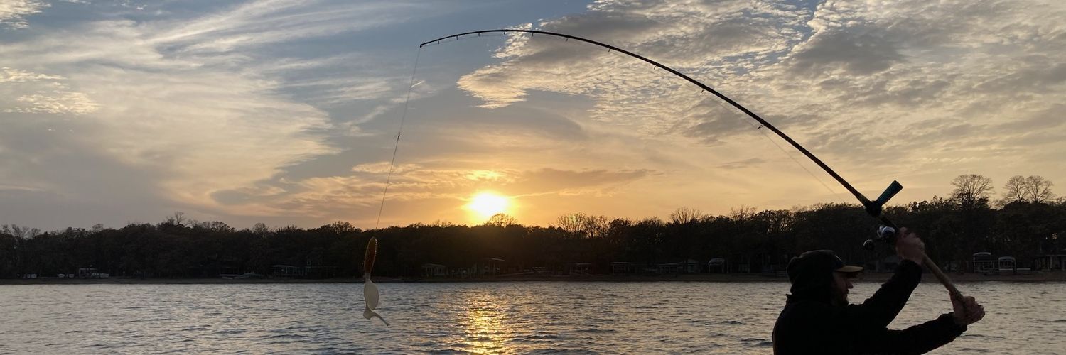 ericontrarian banner